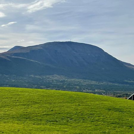 Apartmán Koselig Leilighet , Med Parkering Og Ski In &Out. Oppdal Exteriér fotografie