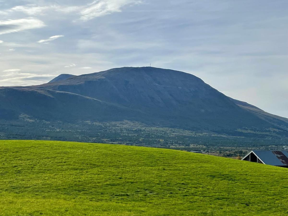 Apartmán Koselig Leilighet , Med Parkering Og Ski In &Out. Oppdal Exteriér fotografie